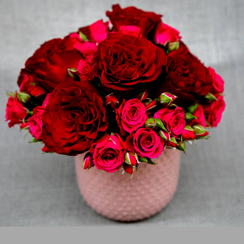 Deep Love- Rose arrangements - Gaia Flowers, Plants & Gifts