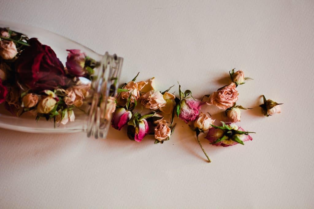 Dried roses falling out of a clear glass jar