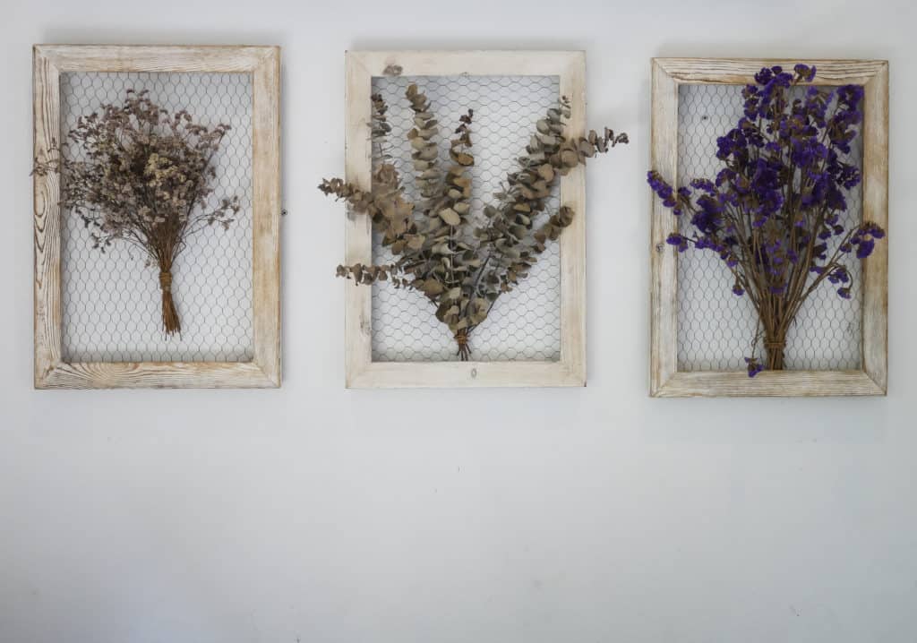 Photo of dried flowers in frames as a creative use for dried flowers.