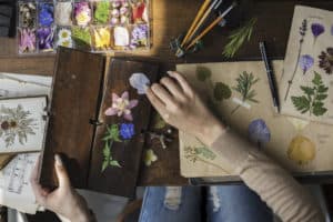 Photo of pressed flowers or leaves as a creative use for dried flowers.