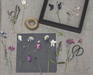 Photo of dried flowers near a frame as a creative use for dried flowers.