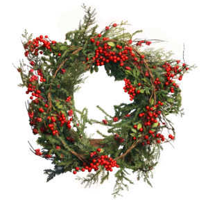 Holly wreath Christmas plant.