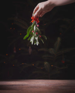 Mistletoe Christmas plant.