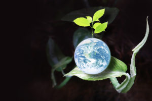 Gaia, mother earth, sitting on a plant leaf.