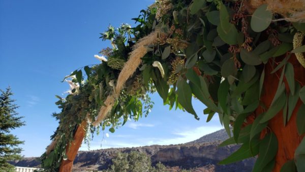 close up view of an arbor dressed in greens and flowers