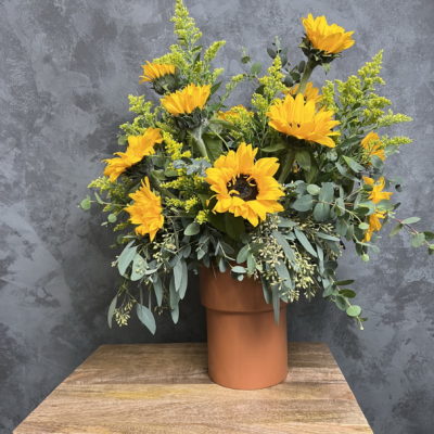 Large sunflowers in a terra cotta vase.