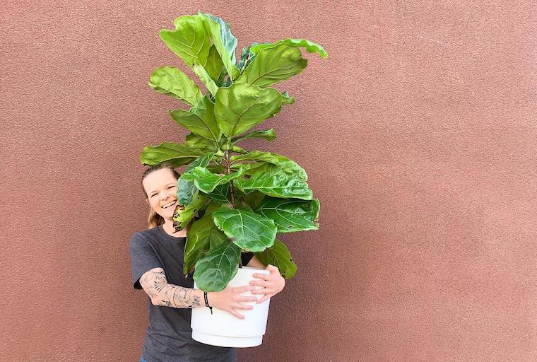 Person holding large potted plant.