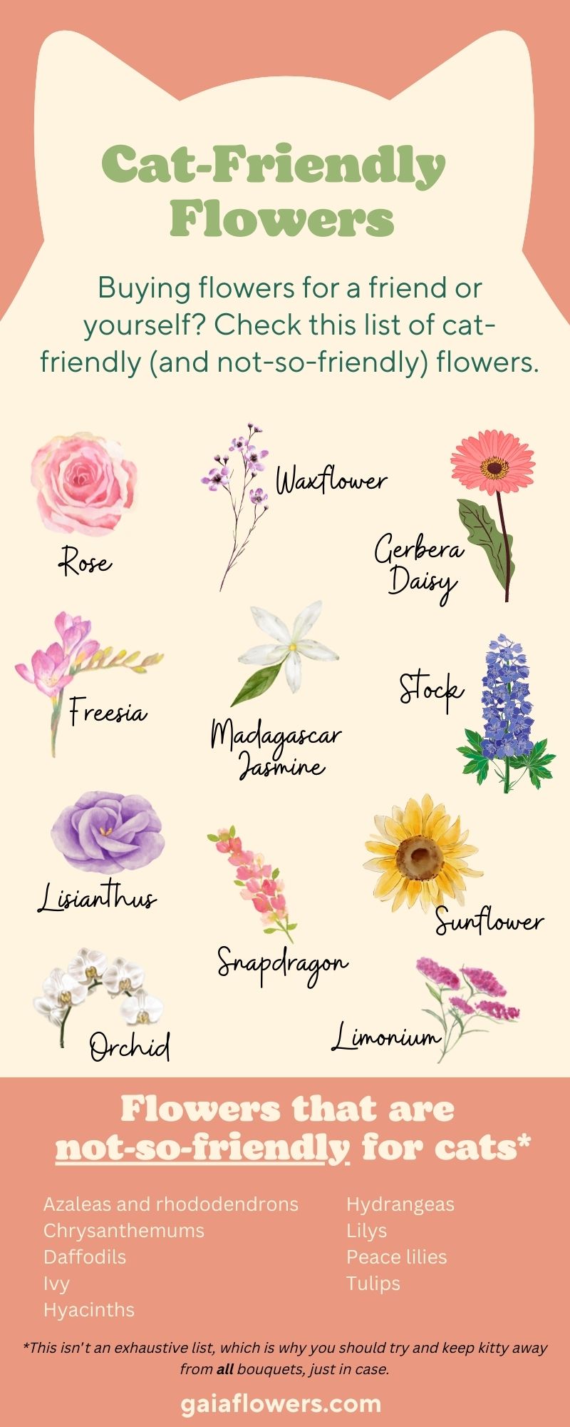 Infographic list of cat friendly flowers.