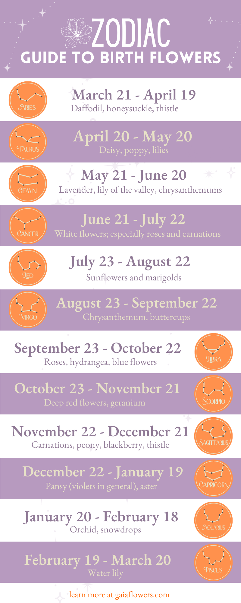 Infographic of the zodiac guide to birth flowers.
