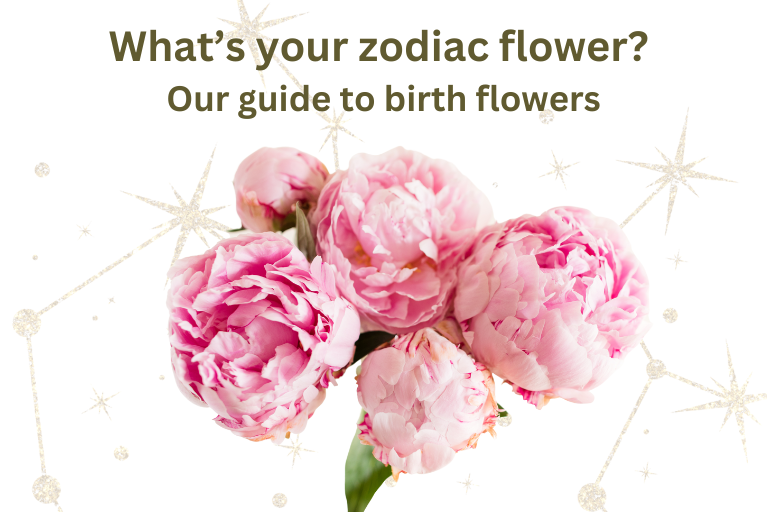 Text 'what's your zodiac flowers? Our guide to birth flowers." with gold stars and pink peonies in the background.