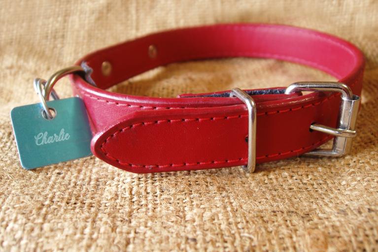 Red dog collar with name inscription on metal tag.