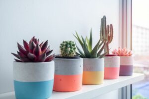 row of 5 brightly painted plant pots with cacti in them.