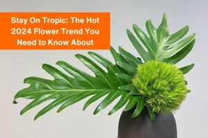brown vase with palm leaves and a green flower with the text "stay on tropic" The hot 2024 flower trend you need to know about' in an orange box.