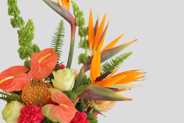 close up view of anthurium, bird of paradise and flowers in a bouquet