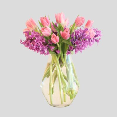 pink tulips and purple hyacinth in a clear glass vase