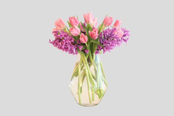 pink tulips and purple hyacinth in a clear glass vase