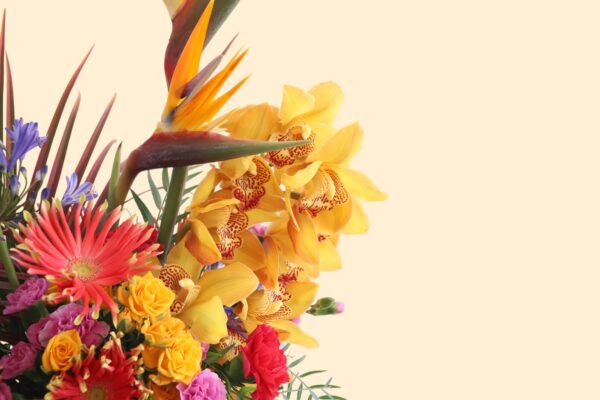 yellow orchids and a bird of paradise flower